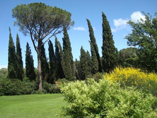 Al Giardino Degli Etruschi Guest House Chiusi Rom bilde